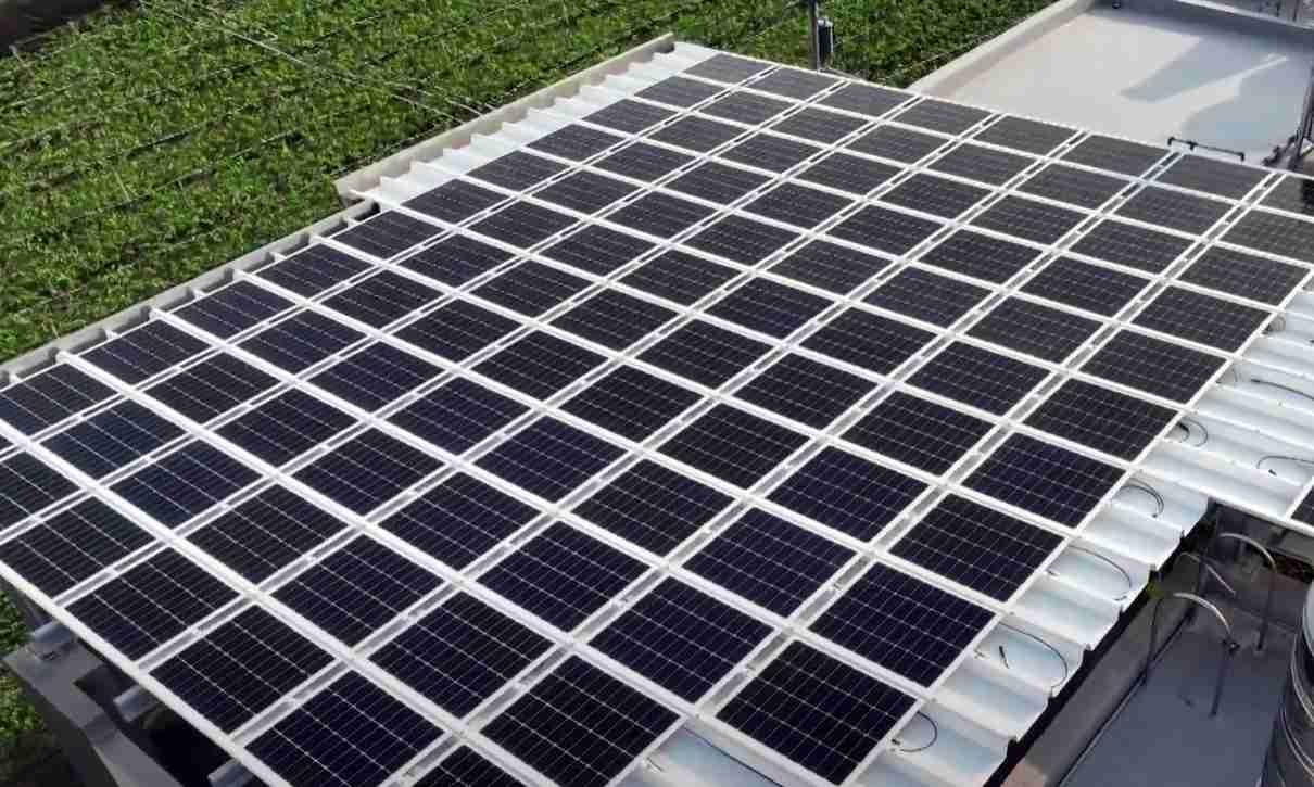 尊龙z6SunSteel光电浪板升级双玻结构，，以提升机械负载强度及气候耐候度，，，可广泛运用于多元场域